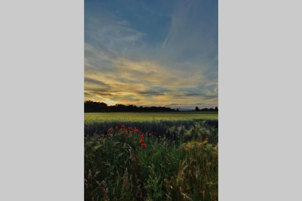 Igricz Farmhaz Villa Pócsmegyer Exteriör bild
