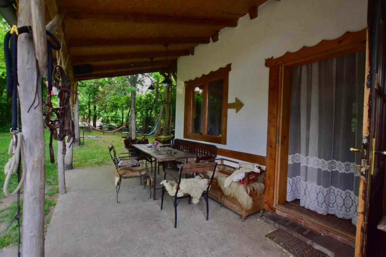 Igricz Farmhaz Villa Pócsmegyer Exteriör bild