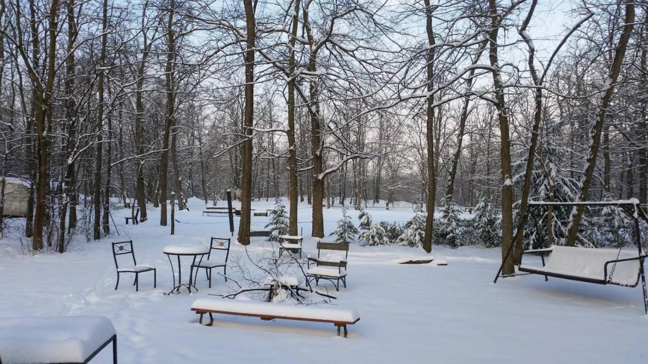 Igricz Farmhaz Villa Pócsmegyer Exteriör bild